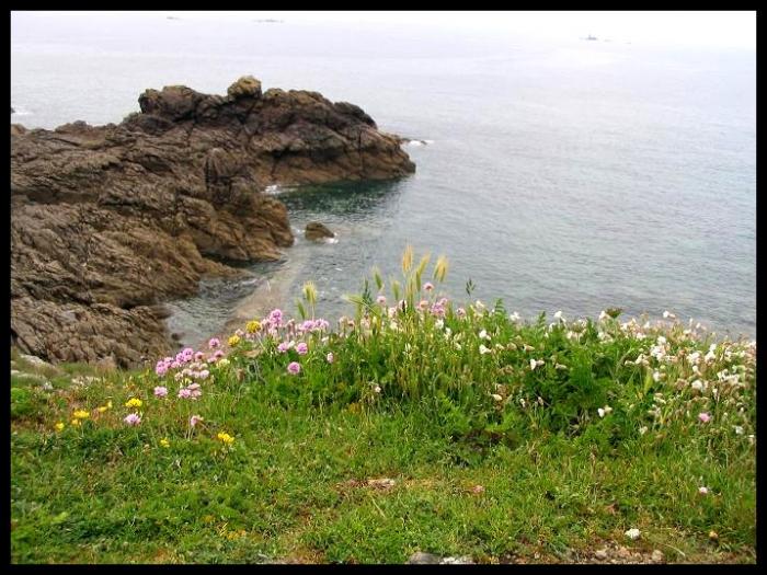 http://tofparthenayphoto.wifeo.com/images/d/duc/du-cote-de-Perros2.JPG